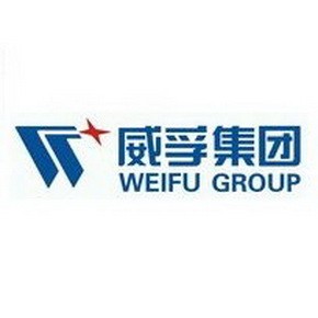 无锡威孚长安有限责任公司 Logo